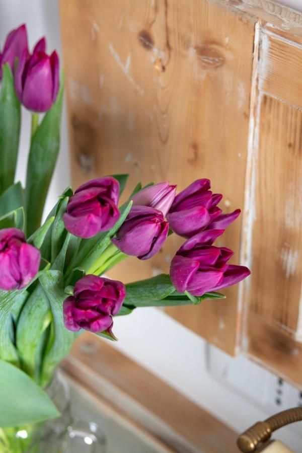 Napoli Bonita B&B Ngoại thất bức ảnh